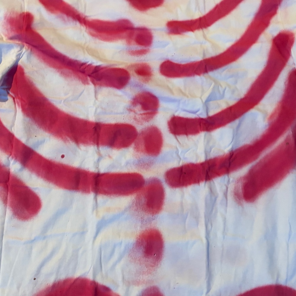 Rib cage and spine
